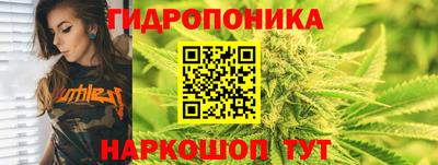 spice Балашиха