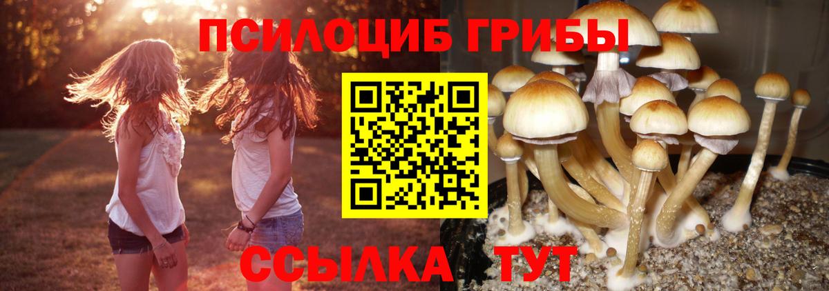 дарнет шоп  Галлюциногенные грибы Psilocybe  Кропоткин  Вход с VPN  Галлюциногенные грибы Psilocybine cubensis 